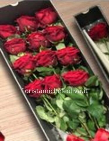 rose rosse