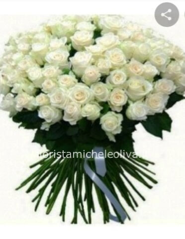Rose bianche