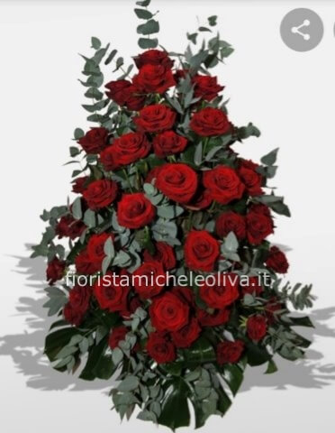 Rose rosse