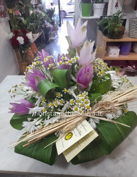 Composizione Carlotta