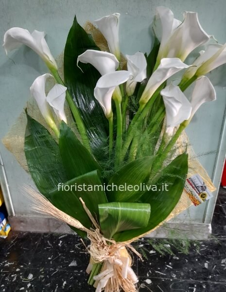 Fascio 12 fiori di calle olandesi