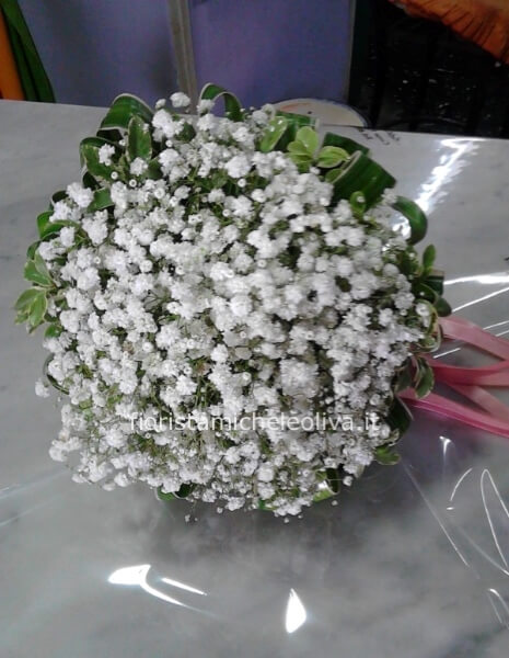 Bouquettando fiori di nebbiolina bianca